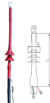 RSNY-1.jpg
